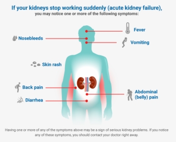 Kidney Disease Symptoms, HD Png Download, Transparent PNG