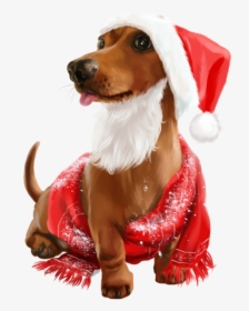 Cute Christmas Animals, HD Png Download, Transparent PNG
