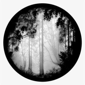 Apollo Forest Misty - Black And White Scenery, HD Png Download, Transparent PNG