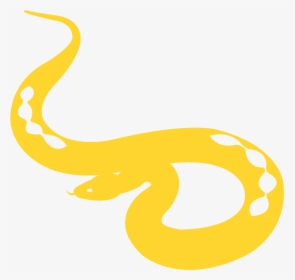 Python, HD Png Download, Transparent PNG