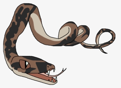 Boa Constrictor - Python - Python, HD Png Download, Transparent PNG