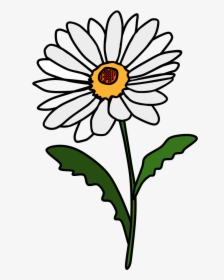 Daisy, Petals, White - Red Daisy Clip Art, HD Png Download, Transparent PNG