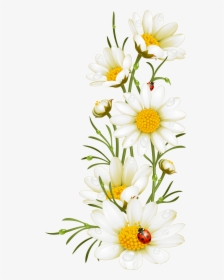 Transparent Daisy Outline Png - Electronic Family The Compilation, Png Download, Transparent PNG