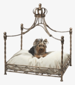 Pet Canopy Bed - Cat Canopy Bed, HD Png Download, Transparent PNG