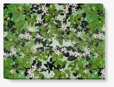 Ivy, HD Png Download, Transparent PNG