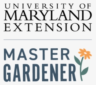 University Of Maryland, HD Png Download, Transparent PNG