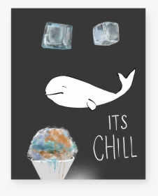 Chill - Killer Whale, HD Png Download, Transparent PNG