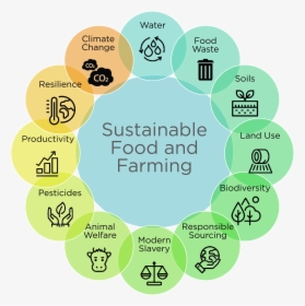 Agriculture Sustainable Development, HD Png Download, Transparent PNG