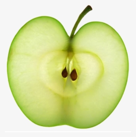 Pip Of An Apple, HD Png Download, Transparent PNG