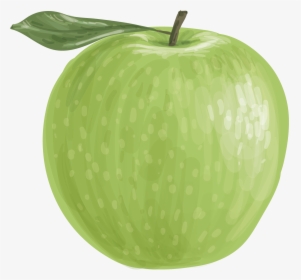 Vector Green Apple Png Download - Granny Smith, Transparent Png, Transparent PNG