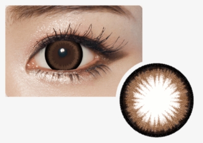 Geolica Princess Mimi Almond Choco, 2/box Geolica® - Orange Brown Contact Lens, HD Png Download, Transparent PNG