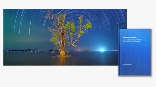 Elm, HD Png Download, Transparent PNG