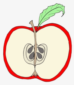 Clip Art Red Apple Clipart Wikiclipart - Parts Of An Apple Clipart, HD Png Download, Transparent PNG