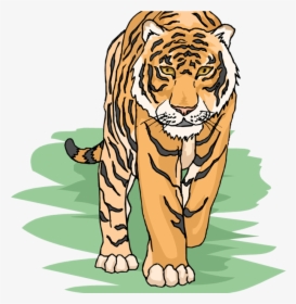 Free Tiger Clipart Cool - Tiger Clipart, HD Png Download, Transparent PNG
