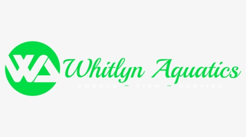 Whitlyn Aquatics - Los Angeles, HD Png Download, Transparent PNG