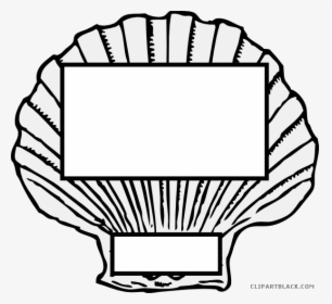 Shell Clipart Horse Conch - Seashell Black And White, HD Png Download, Transparent PNG