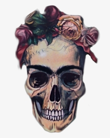 Transparent Unibrow Clipart - Artists That Draw Skulls, HD Png Download, Transparent PNG