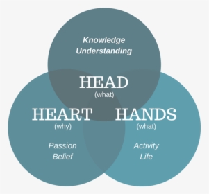 Transparent Heart Hands Png - Graphic Design, Png Download, Transparent PNG