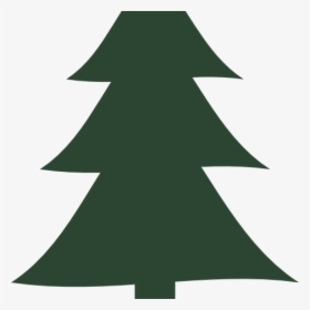 Transparent Pine Tree Vector Png - Trees Vector Pine Png, Png Download, Transparent PNG