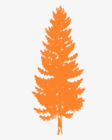 Pine Trees For Photoshop, HD Png Download, Transparent PNG