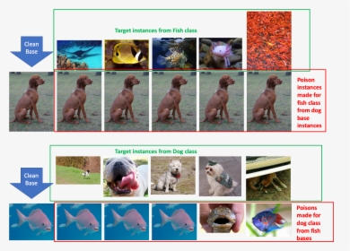 Dog Vs Fish Classifier Poisoning - Neural Network Data Poisoning, HD Png Download, Transparent PNG