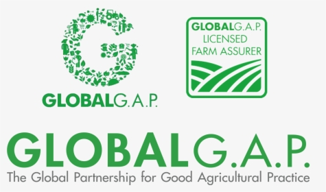 Certificazioni Global Gap Logo - Globalgap, HD Png Download, Transparent PNG