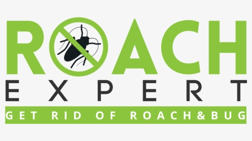 Roach Expert Logo - Graphic Design, HD Png Download, Transparent PNG