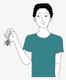 Roach / Cockroach - Cockroach With Black Hair, HD Png Download, Transparent PNG