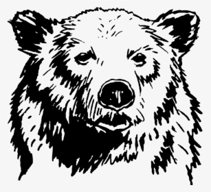 Grizzly Bear, HD Png Download, Transparent PNG