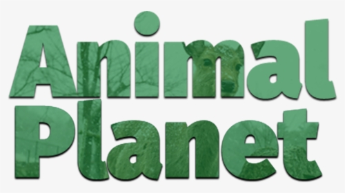 1 Válasz 0 Retweet 4 Kedvelés - Animal Planet Dota 2, HD Png Download, Transparent PNG