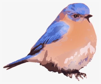 Eastern Bluebird - Clip Art Eastern Bluebird Art, HD Png Download, Transparent PNG