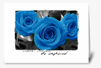 Be Inspired With Blue Roses Greeting Card - Blue Roses Garden Background, HD Png Download, Transparent PNG