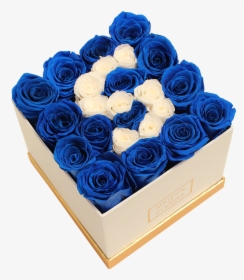 Blue Rose, HD Png Download, Transparent PNG