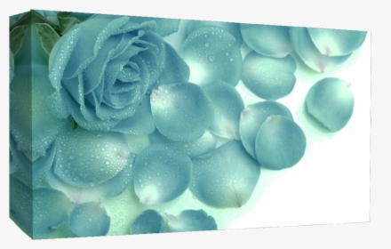 Large Duck Egg Blue Roses Raindrops Canvas Picture - Love Hd Wallpapers Cute, HD Png Download, Transparent PNG