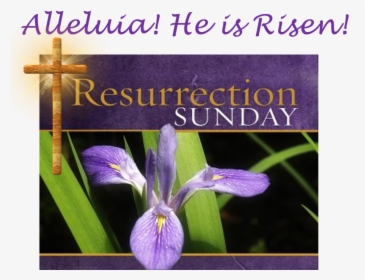 Wishing A Blessed Resurrection Sunday, HD Png Download, Transparent PNG
