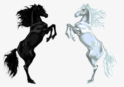 Arabian Horse Stallion Euclidean Vector Illustration - Black Horse Png Free, Transparent Png, Transparent PNG