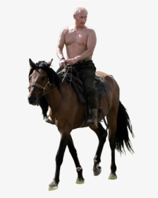 Transparent Putin Riding Png - Putin On Horse No Background, Png Download, Transparent PNG