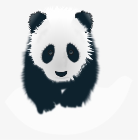 Panda Head Drawing At Getdrawings - Panda Black And White Png, Transparent Png, Transparent PNG