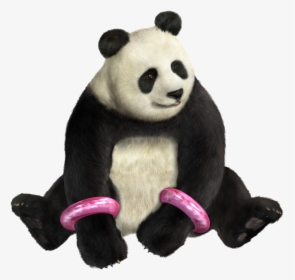 Panda Png Free Image Download - Tekken Girl With Panda, Transparent Png, Transparent PNG