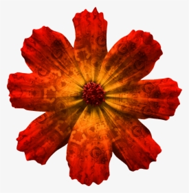 Draw A Cosmos Atrosanguineus , Png Download - Cosmos Flower Transparent Background, Png Download, Transparent PNG