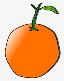 Orange Fruit Clipart Orange Tree - Orange Clip Art, HD Png Download, Transparent PNG