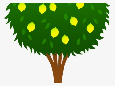 Transparent Seed Clipart - Lemon Tree Drawing Easy, HD Png Download, Transparent PNG