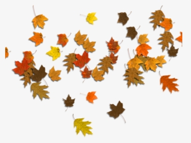 Transparent Autumn Border Png - Leaf Png Hd In Brown Colour, Png Download, Transparent PNG