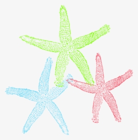 Starfish Public Domain Clipart - Free Starfish Clip Art, HD Png Download, Transparent PNG