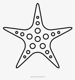 Transparent Starfish Clipart Png - Sea Star Fish Outline, Png Download, Transparent PNG
