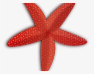 Free Starfish Clipart - Etoile De Mer Svg, HD Png Download, Transparent PNG