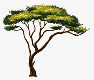 Painted African Png Picture Trees Pinterest - African Tree Png, Transparent Png, Transparent PNG