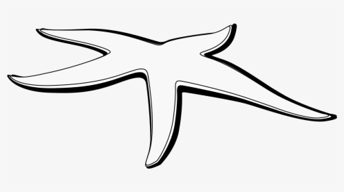 Starfish Black And White Clipart - Line Art, HD Png Download, Transparent PNG