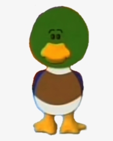 Duck, HD Png Download, Transparent PNG