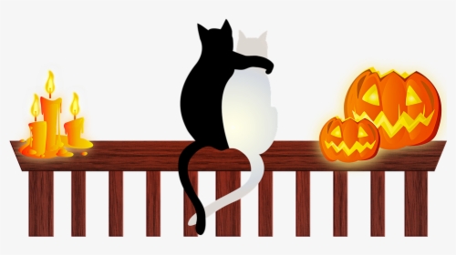 Transparent Black Cat And Pumpkin Clipart - Halloween Cats, HD Png Download, Transparent PNG